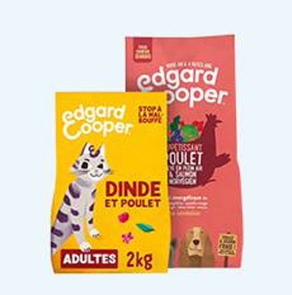 Packet Mockup